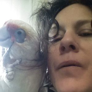 Meet your Posher, Lynna